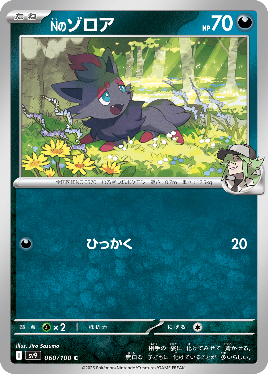 Nのゾロア（060/100） パック：ポケモンカード 拡張パック「 バトルパートナーズ」